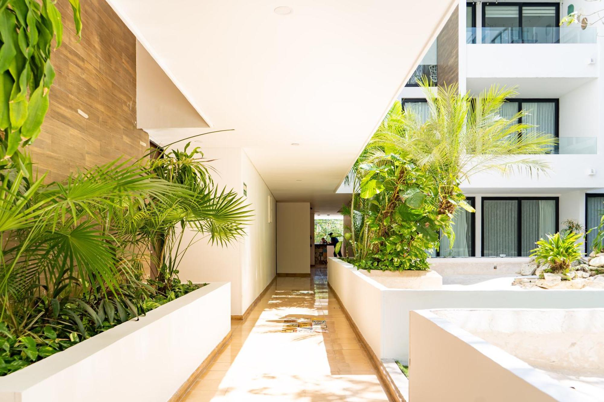 Apartamento Anah Downtown 10 Playa del Carmen